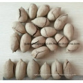 Manufacture New Crop Pecan Nuts